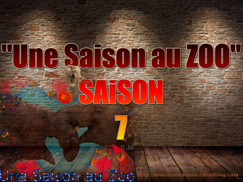 - une SAiSON au ZOO saison 7