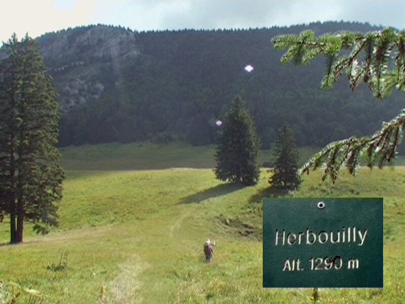 Herbouilly