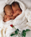 Anne_Geddes___Sleeping_Babies