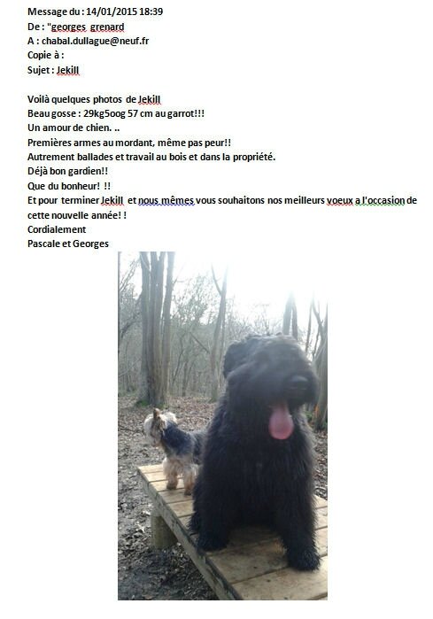 JEKILL DE LA DULLAGUE  a 5 mois!!!
