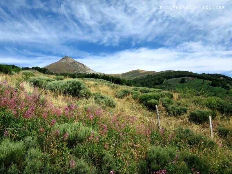 Puy Griou 4