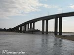 Noirmoutier_samedi_13_sept_08_028