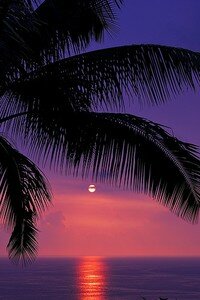 purple_sunset_2