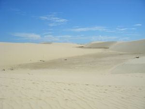 3 - Dune (3)