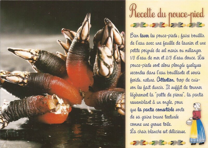 carte postale recette (325)