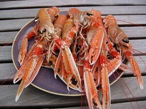 langoustinesatay6