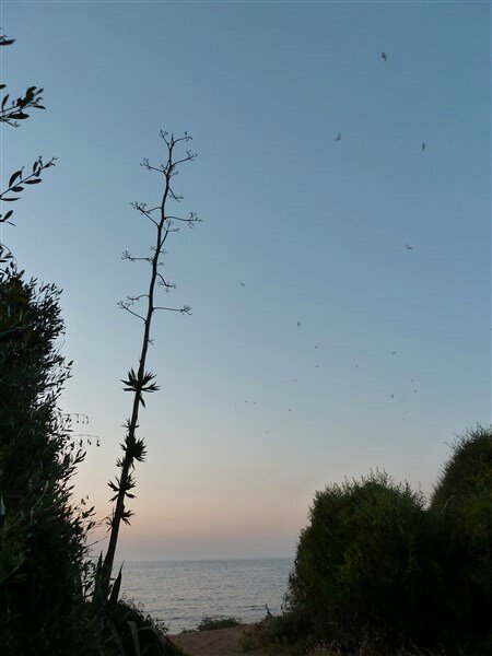 P1030802