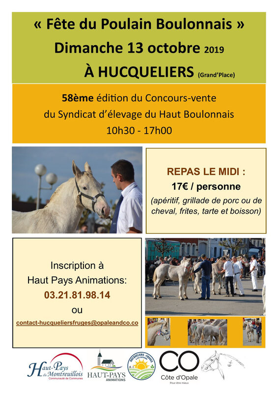Affiche Concours de Poulains - Hucqueliers - 13/10/2019