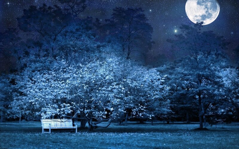 night-bench-park-trees-stars-full-moon-sky-light-darkness