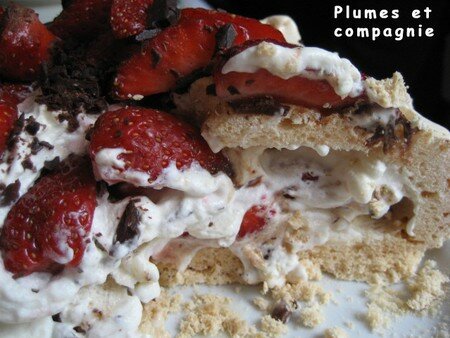 Pavlova aux fraises et au chocolat recettes dessert Pavlova aux fraises et au chocolat