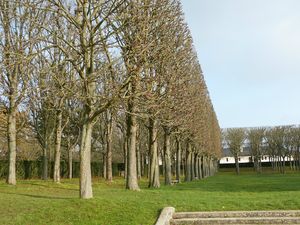 chatenayet Sceaux 022