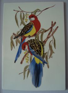 perroquets peint