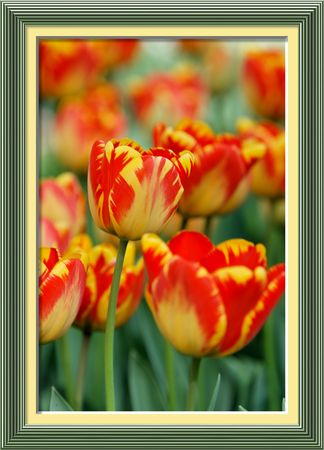 IMG_2353_out