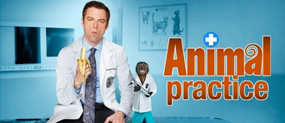 AnimalPractice