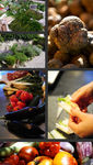 cuisine2