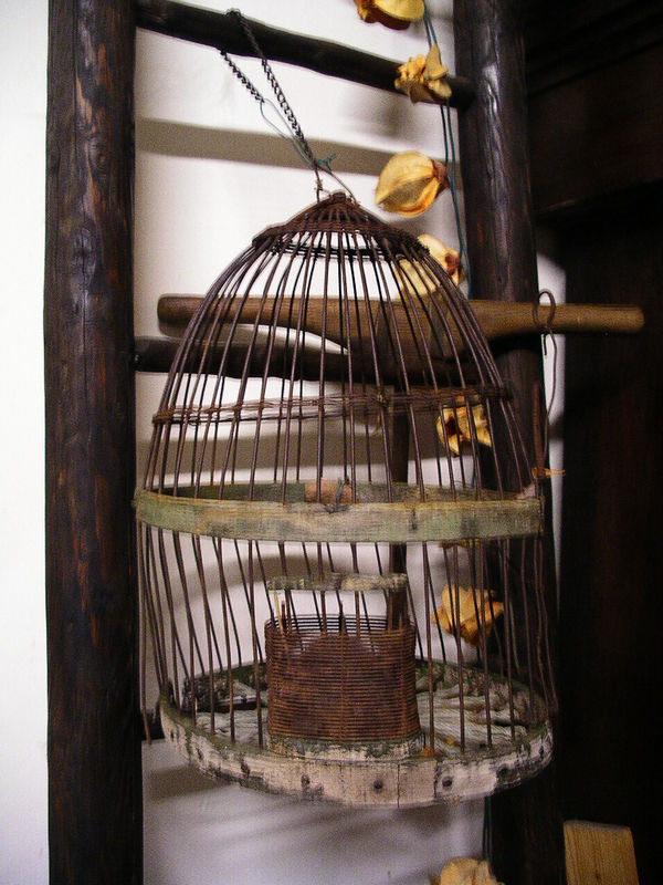 Une cage en bois et en fer pour tout petit oiseau envolé depuis 
