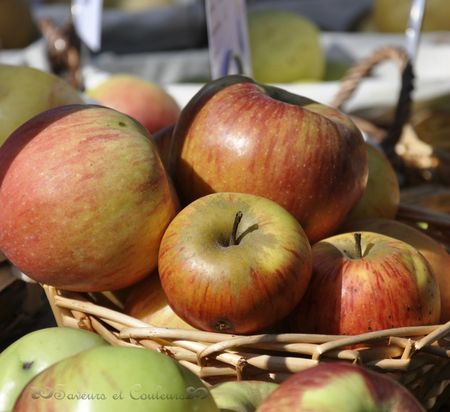 Pommes fruits