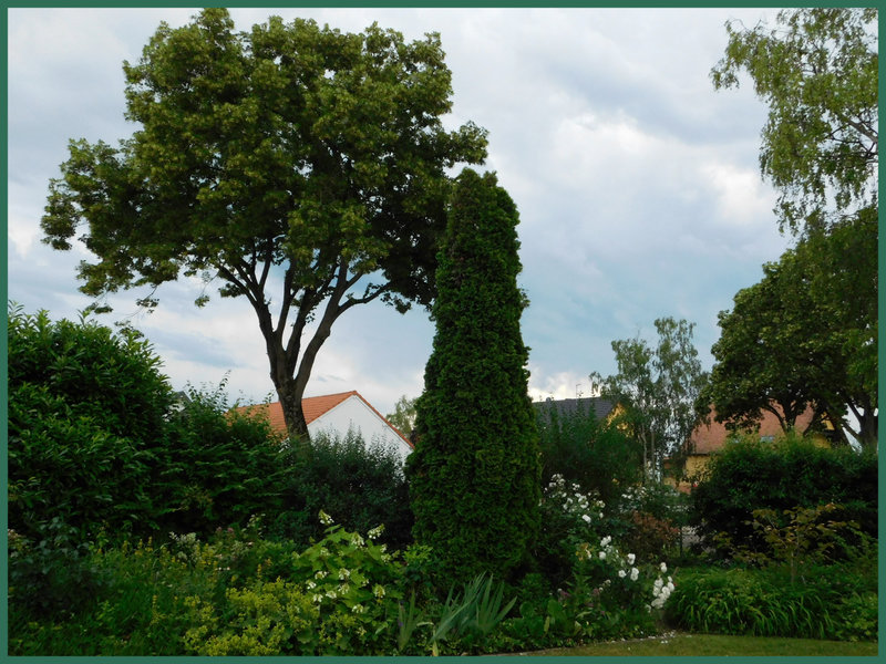 Jardin de Marie-Claire 23-06-214