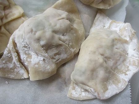 blog_gyoza