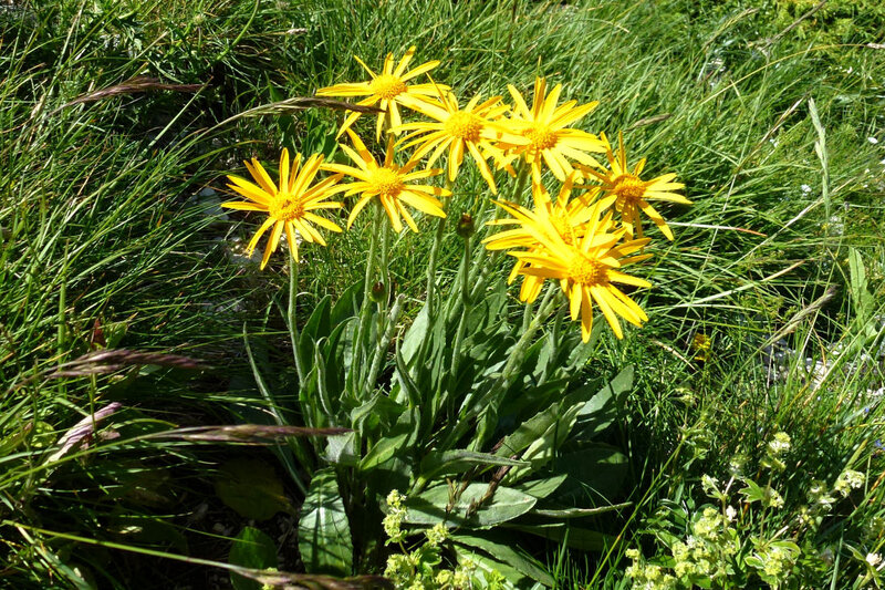 08