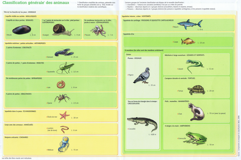 Classification animaux GE