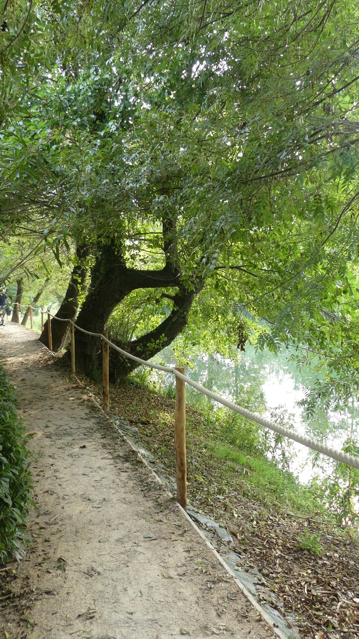 P1070352