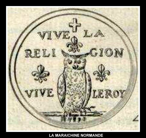 MEDAILLON CHOUETTE