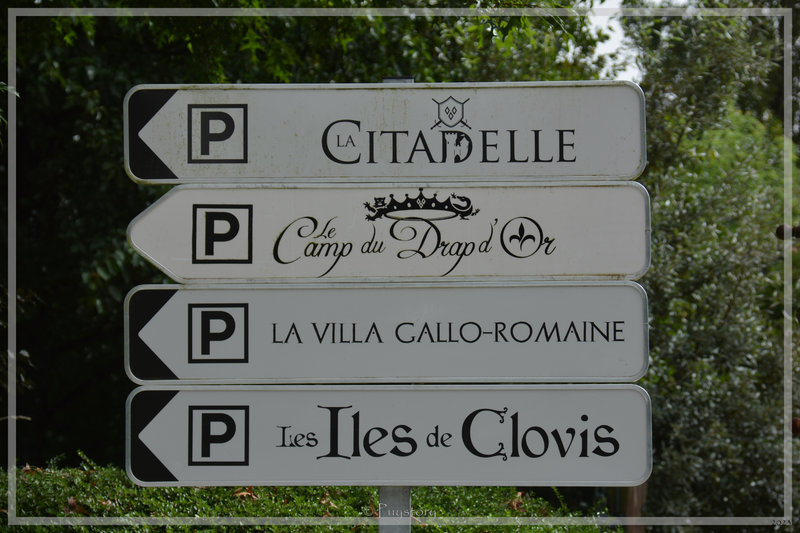 PUY_8155