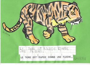 Tigre Guillaume dessin et légende de Lauren