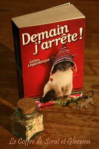 Swap dont vous êtes le héro chez gloewen et scrat (10)