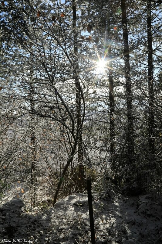Photos JMP©Koufra 12 - Le Caylar - 01122017 - 116