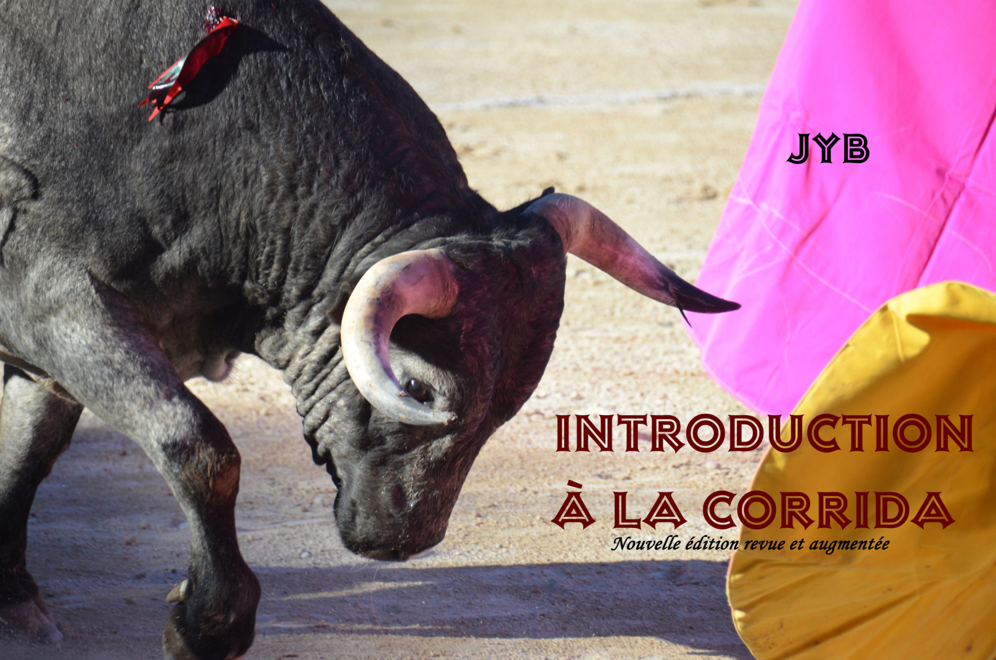INTRODUCTION À LA CORRIDA