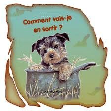 images (1)