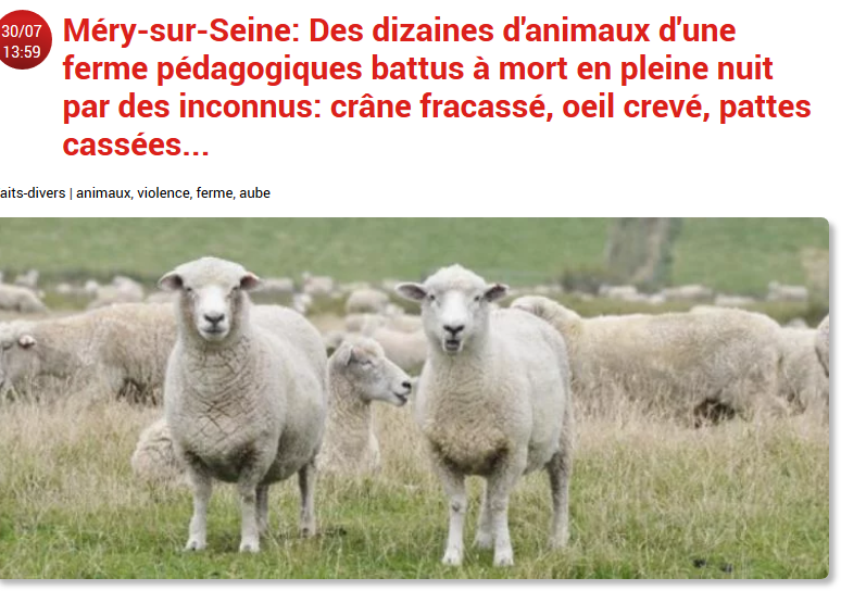 dsgfdfg