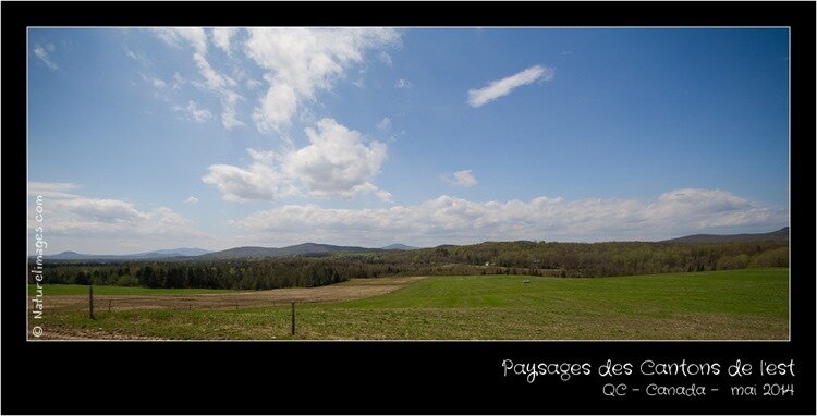 IMG_2551-naturelimages.com