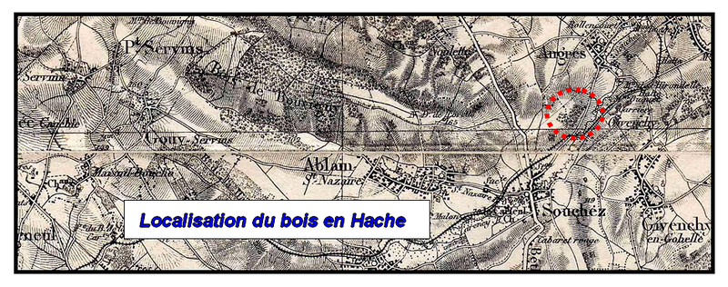 Localisation_du_bois_en_Hache