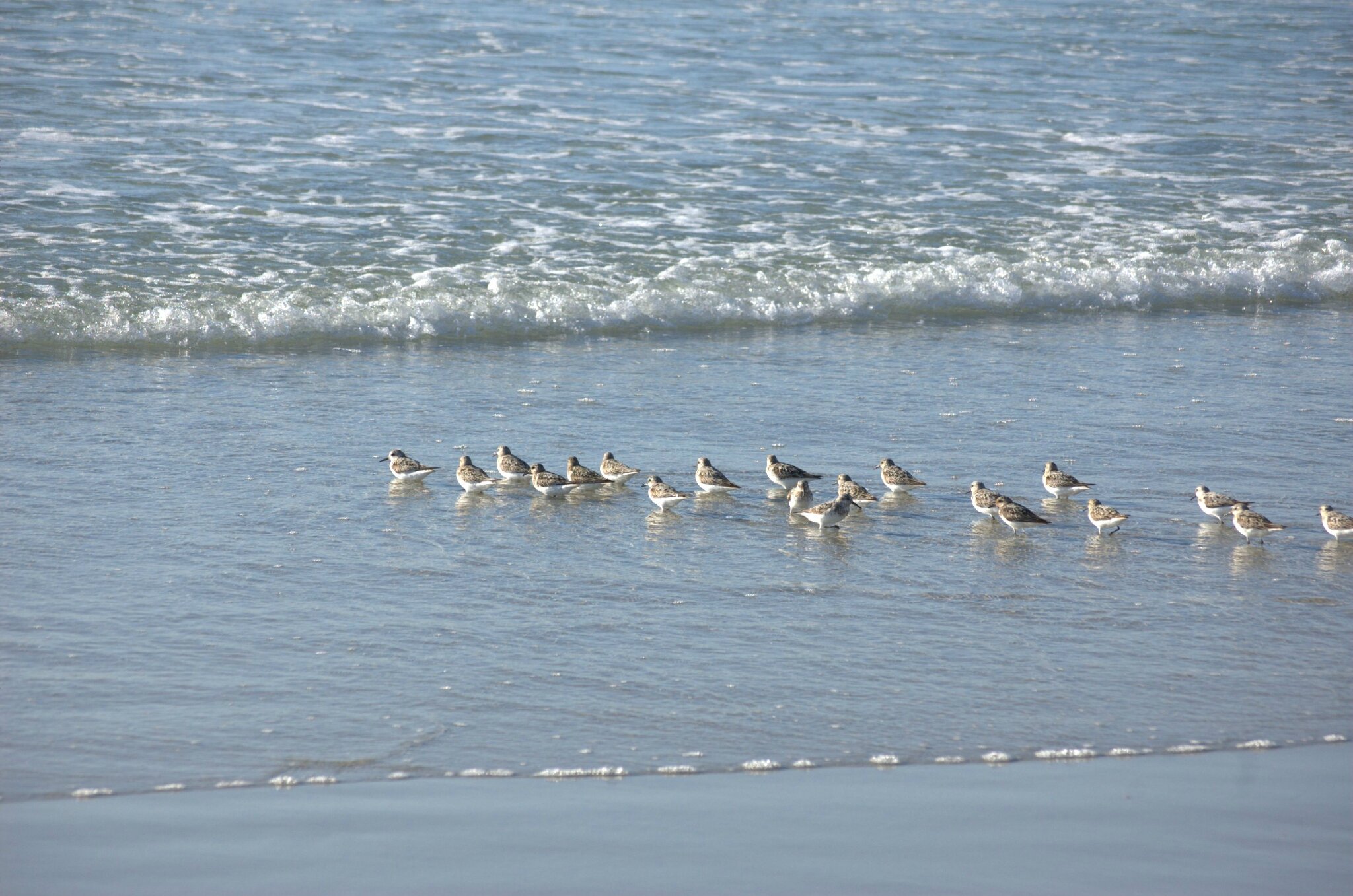 2013-08-09-20h15m04DSC_1146