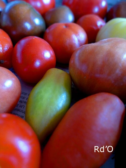 tomates-blog-13