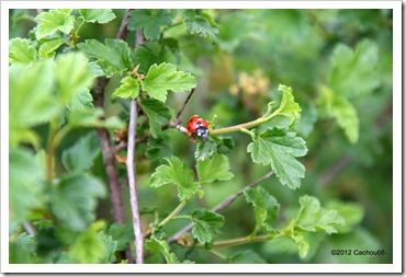 IMG_1450 IMG_1450