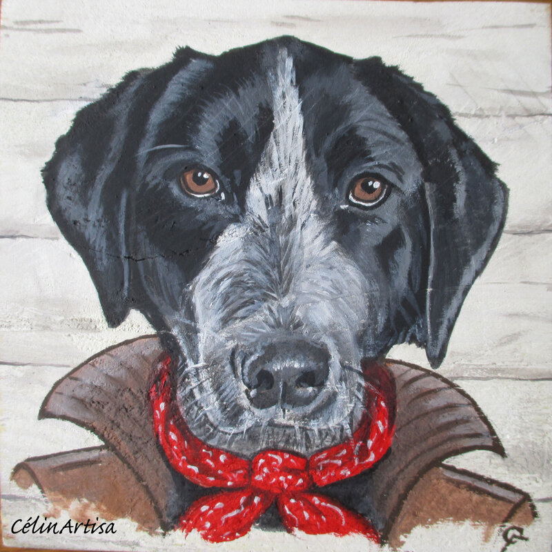 portrait Joker le chien (acrylique sur bois)