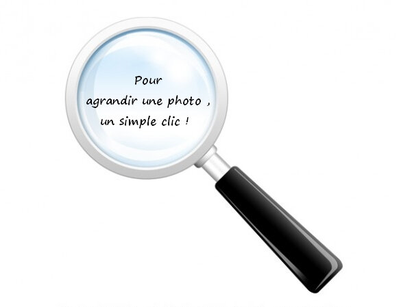 loupe