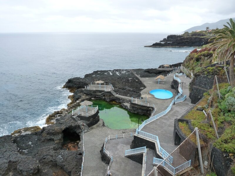 canaries01