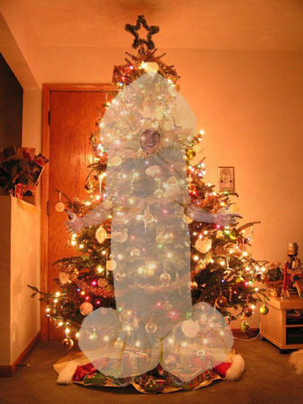 christmas_tree_lights1_copie