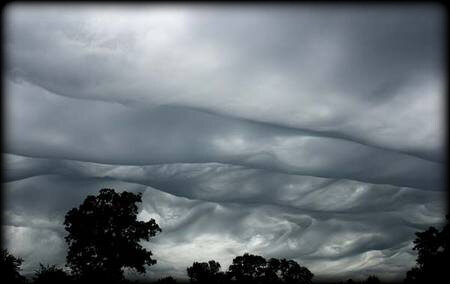 19479_Asperatus_030609e