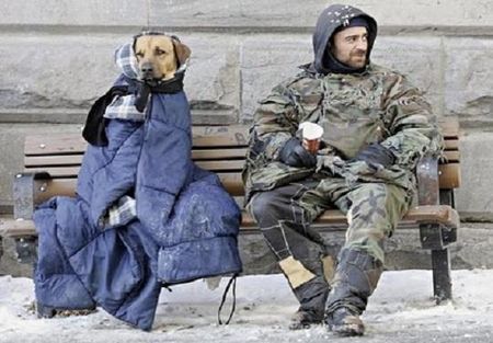 chien_SDF