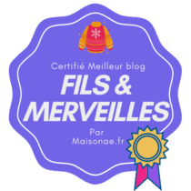 Meilleurs-blogs-Fils-Merveilles-2-210x210