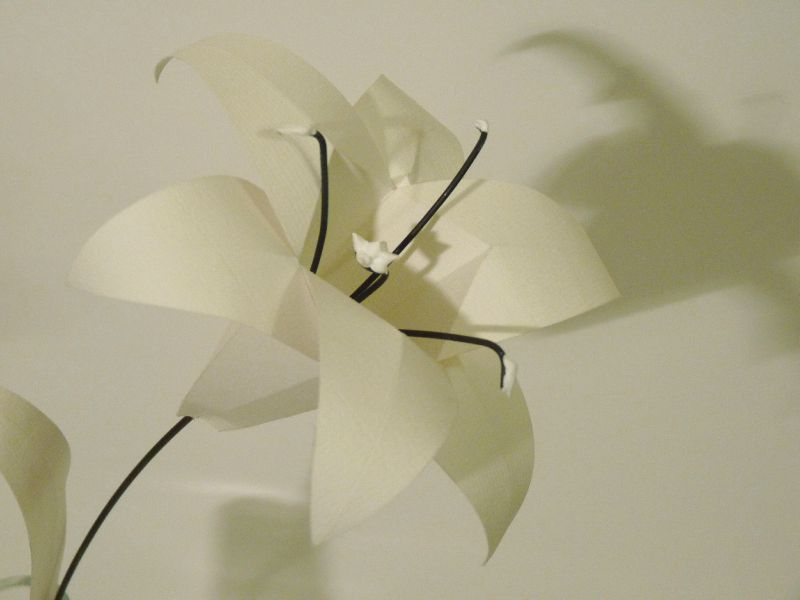 Lys de papier