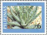 aloes_timbre
