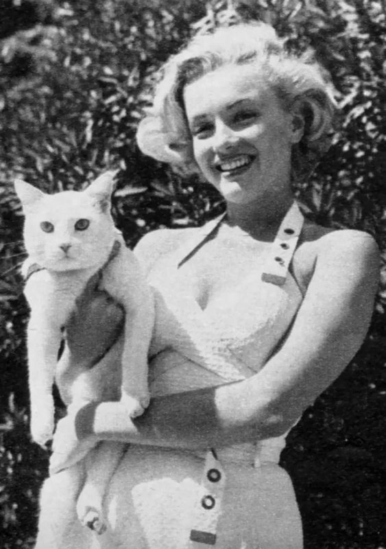 1951-08-MM_in_white_dress-studio_Fox-AYAYF-with_cat_Pinky-011-1