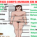 LE CORPS HUMAIN EN NAWDM